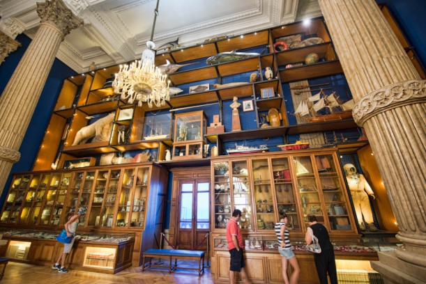 This monumental exhibition room, the Curiosity Cabinet, in the Museum of Oceanography, displays the rarest marine objects are revealed in spectacular fashion.