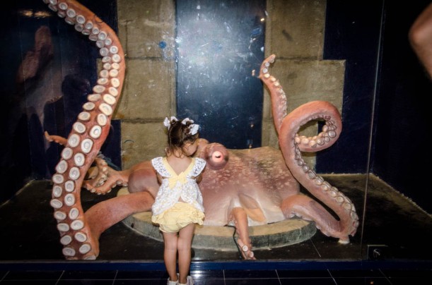 Huang Yong Ping's Giant Octopus at the Oceanographic Museum of Monaco.