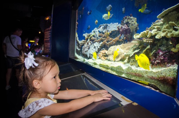 "The yellow one is my favourite!" Eva mesmerized by the displays at the Oceanographic Museum of Monaco.
